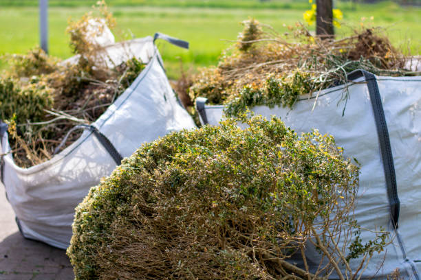 Best Same-Day Junk Removal Services  in Neoga, IL